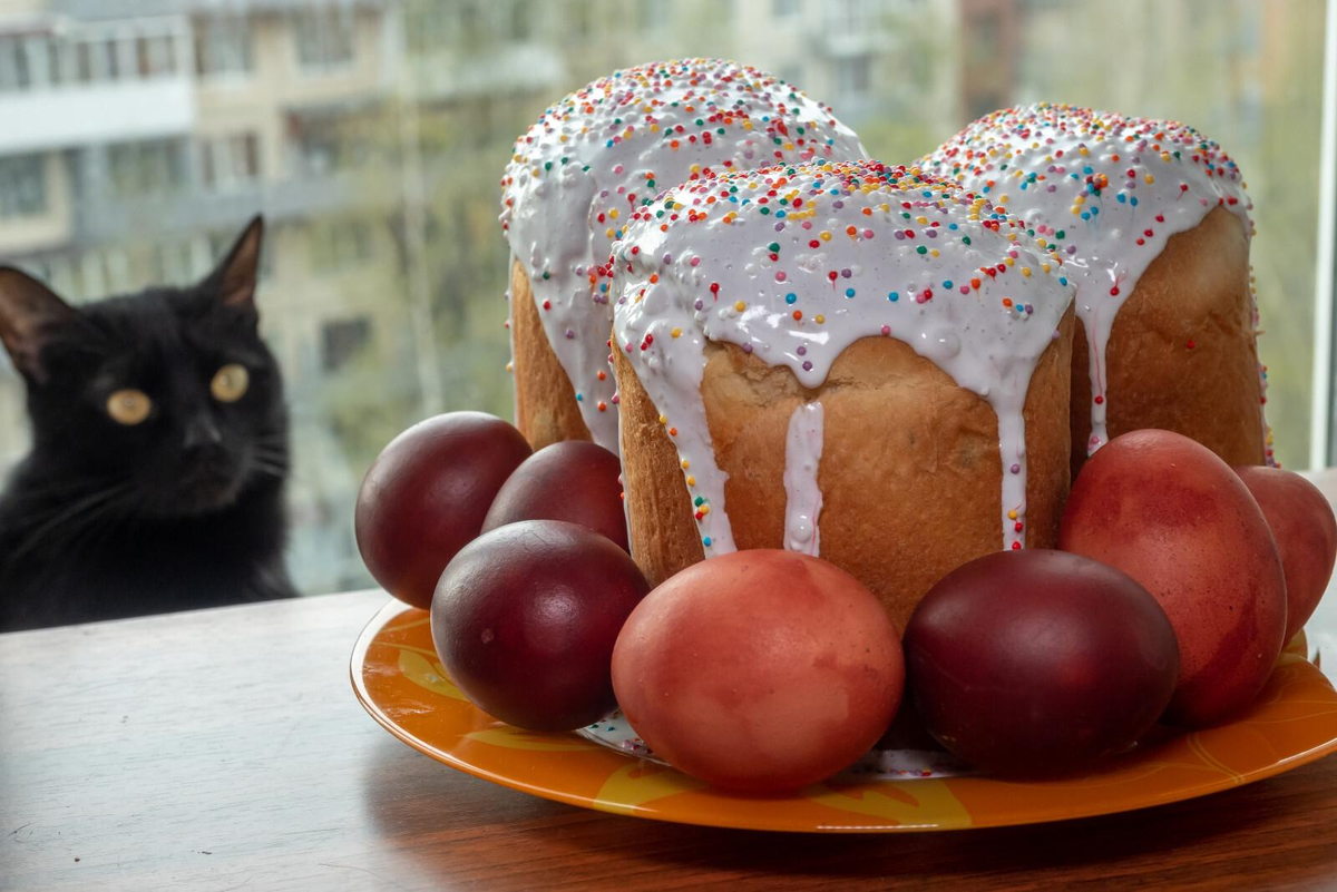 Олег Золото/«Петербургский дневник»