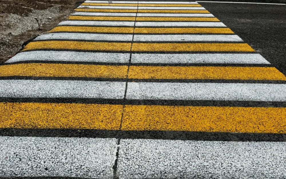    Фото: «Брянские новости»