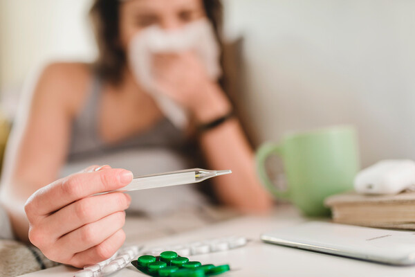 Shutterstock/FOTODOM   📷