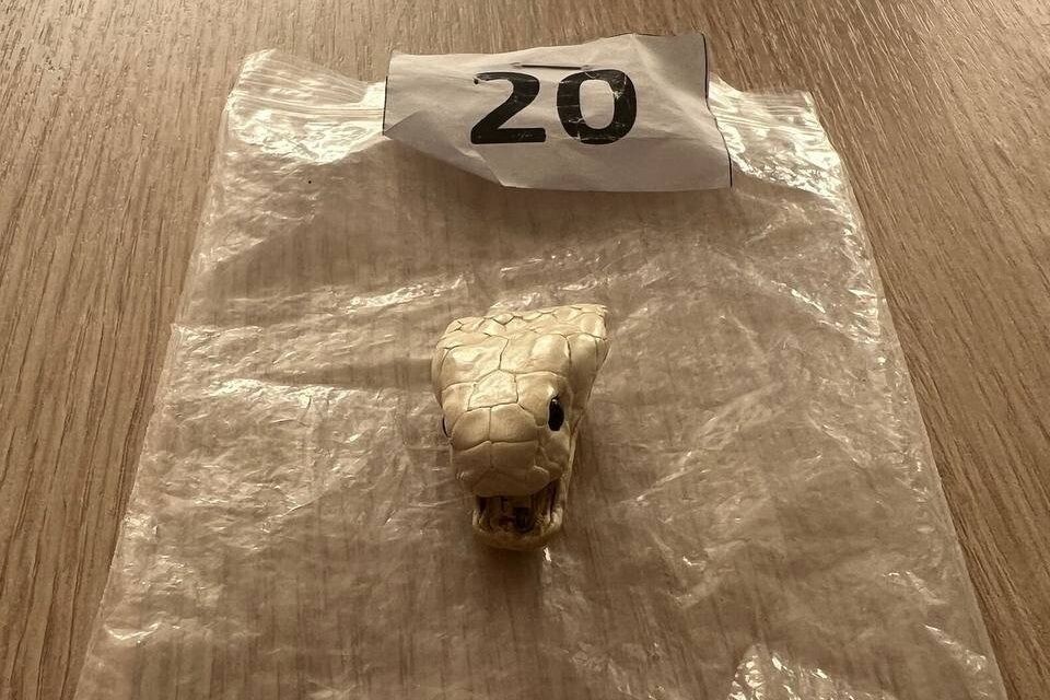     / Источник: © ФТС России