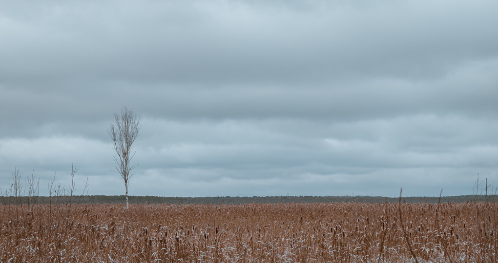Под Екатеринбургом не нашли земли для китайских заводов