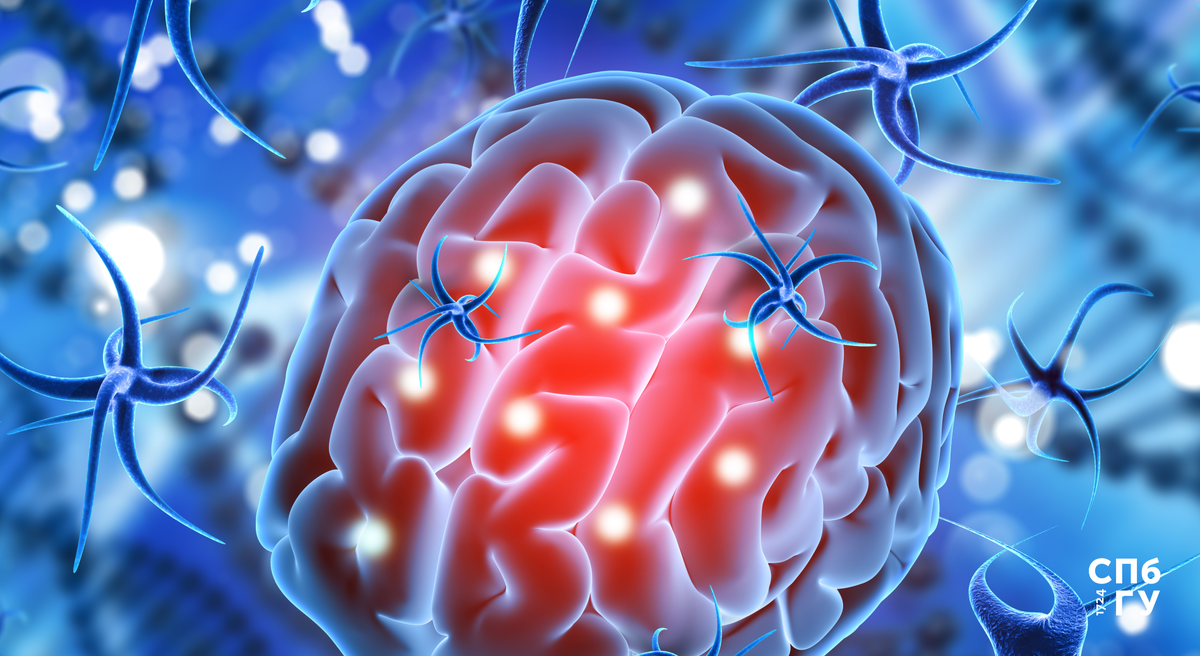 Источник: Freepik