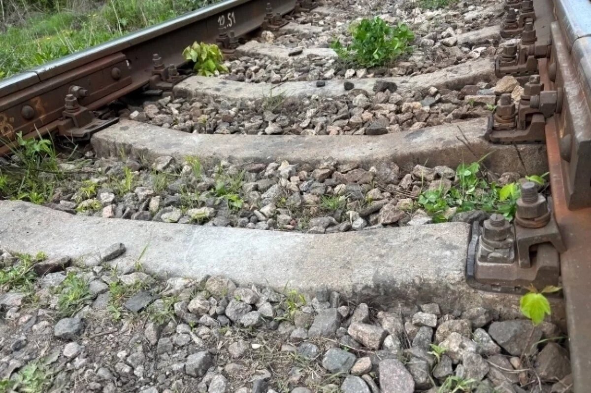    В Дагестане из-за подтопления эвакуируют 119 пассажиров двух поездов