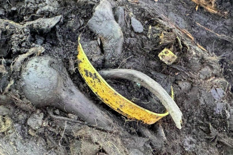 7 лет раскопок — и вот он, клад: золото скифов в кургане Туннуг