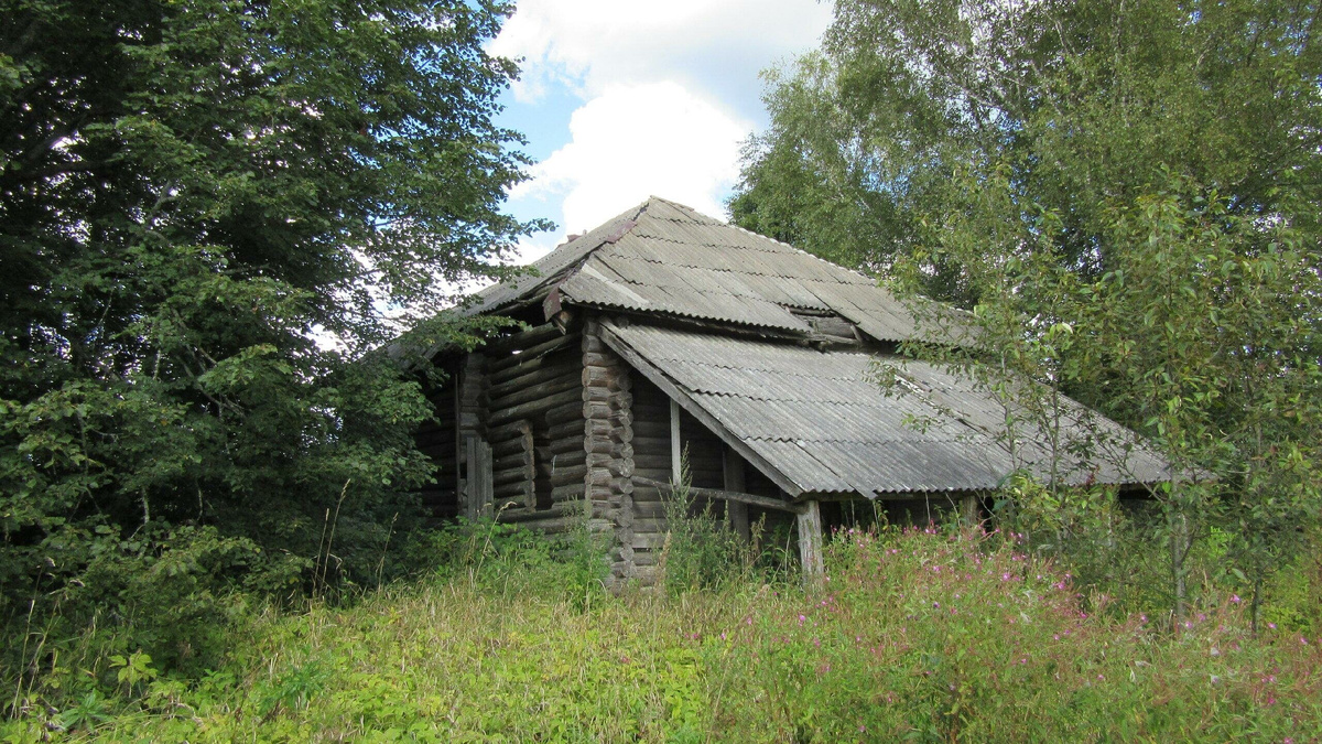 Деревня Бол. Семенково, Большесельского района Ярославской области. Фото с просторов интернета.