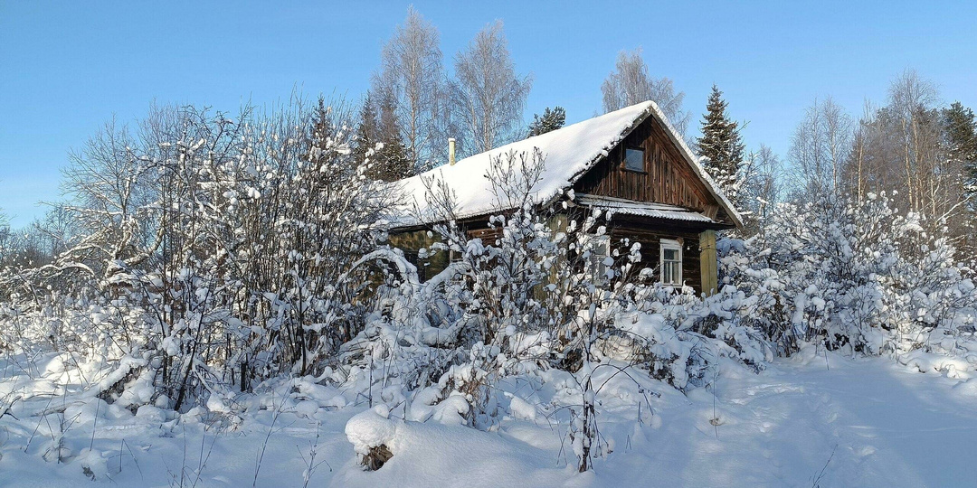 В этой деревне Ярославской области остался всего один жилой дом. Я побывала там