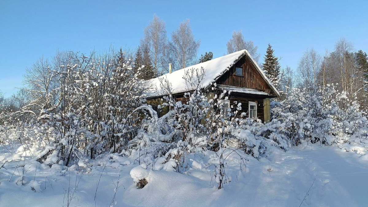 Деревня Бол. Семенково, Большесельского района Ярославской области. Фото с просторов интернета. Единственный жилой дом.