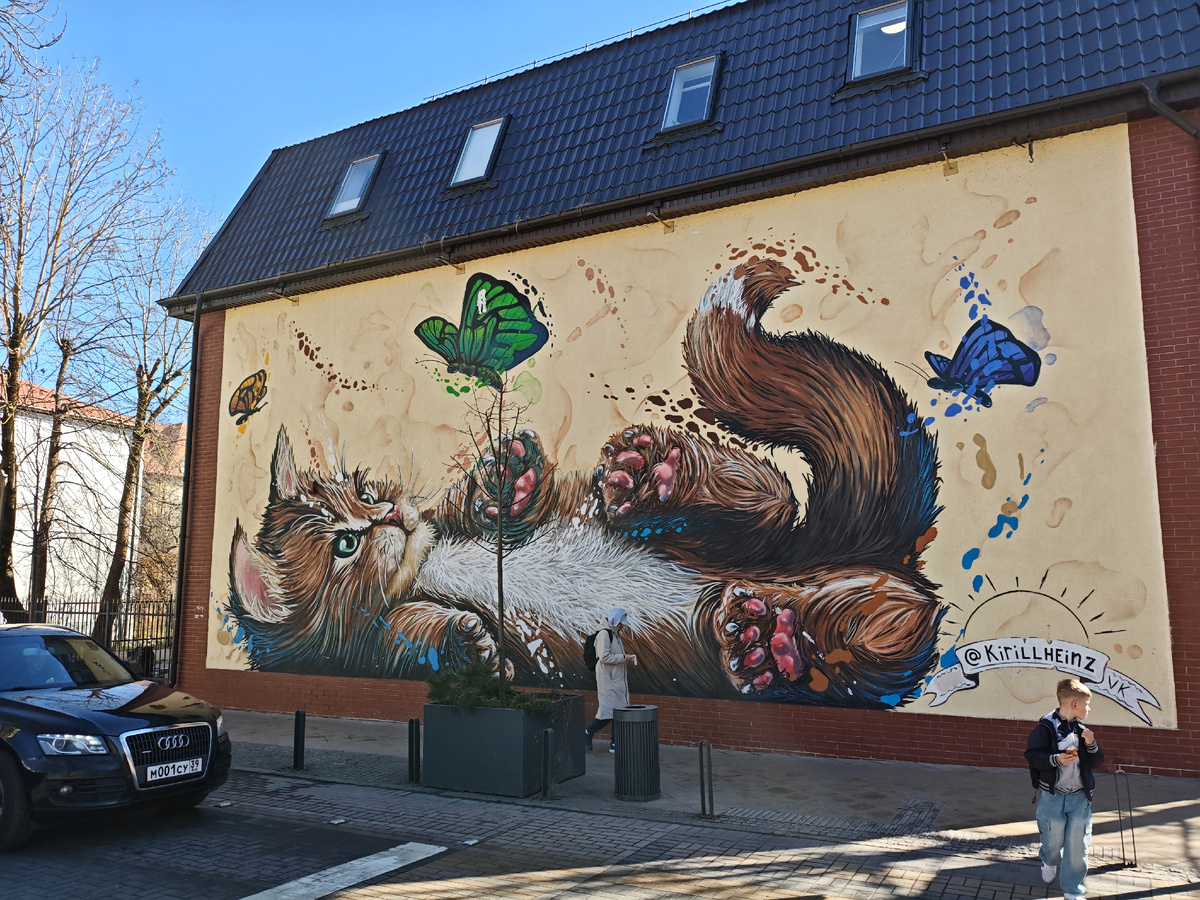 Коты здесь повсюду