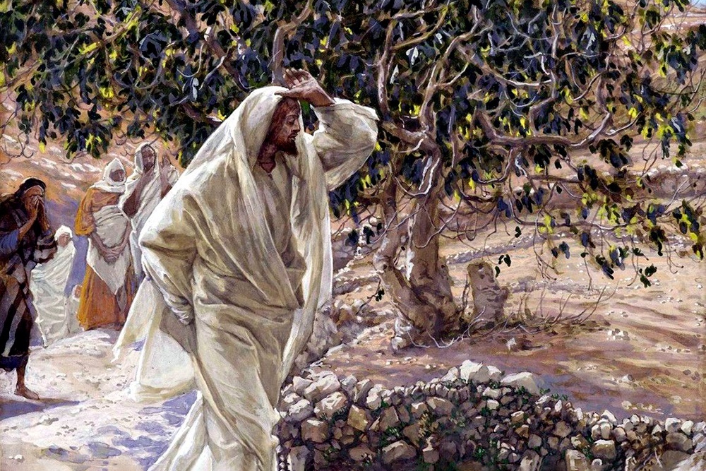    "Проклятая смоковница". Джеймс Тиссо. 1886 - 1892 гг.