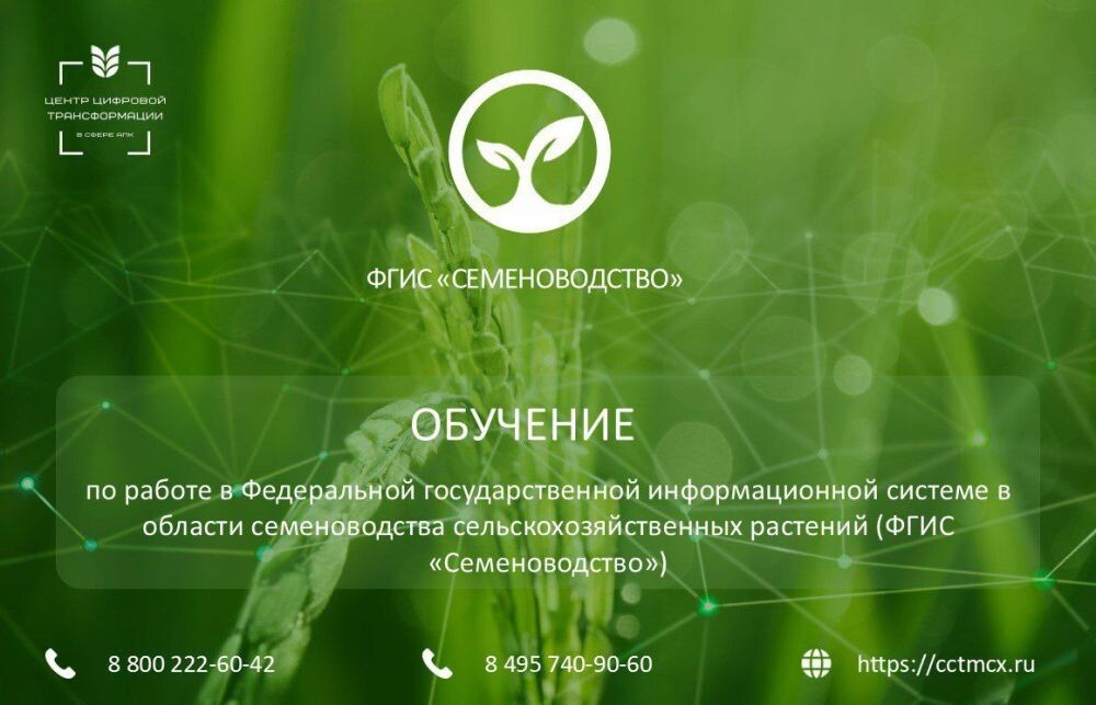 ФГИС «Семеноводство» — это система для участников сельскохозяйственного рынка: от импортёров и производителей семян до дистрибьюторов и производителей самой продукции.