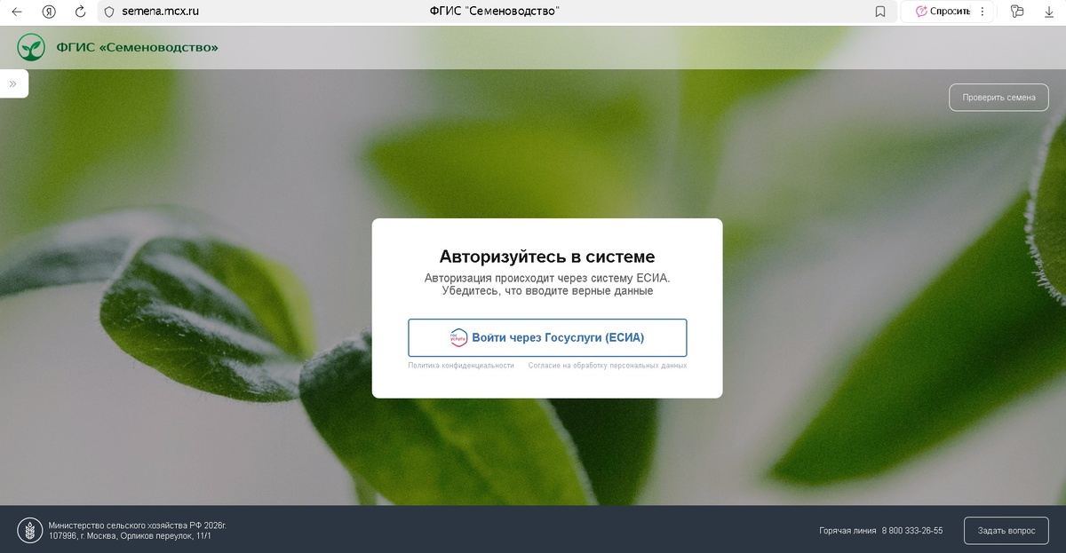 Вход в ситему через Госуслуги