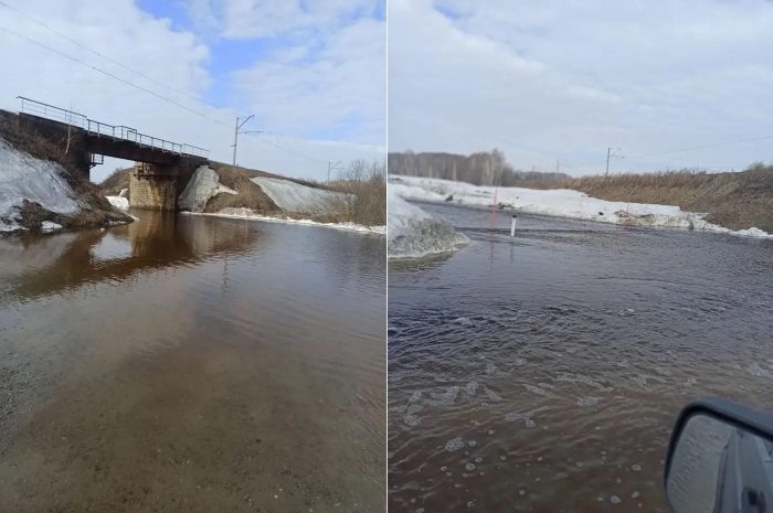Фото ТУАД Новосибирской области.