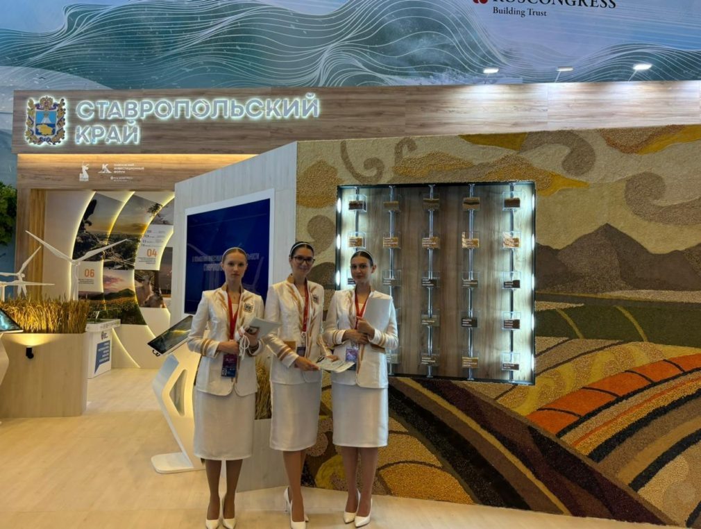    Фото: Минэк СК Сергей Иванов