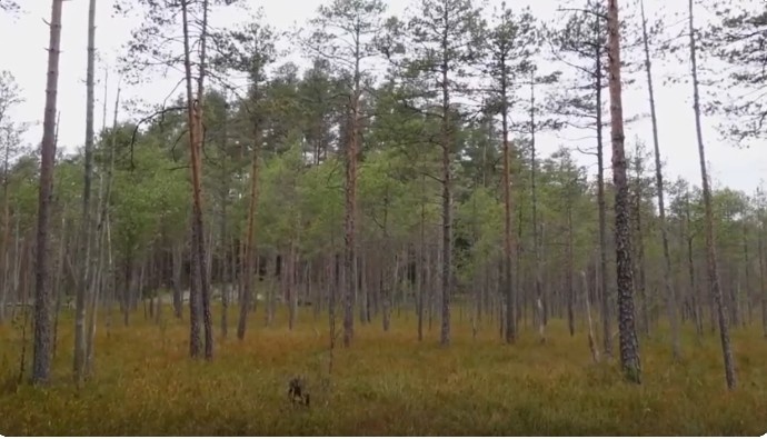 Фото: VK Видео/ Истории из жизни