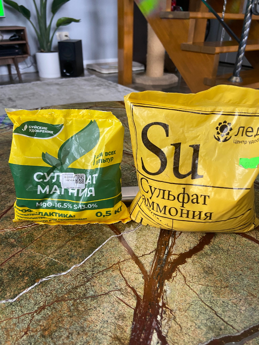 Необходимо использовать сульфат аммония а не карбамид, сейчас еще земля холодная и сульфат аммония работает лучше и быстрее при таких температурах, так же в нем присутствует сера 