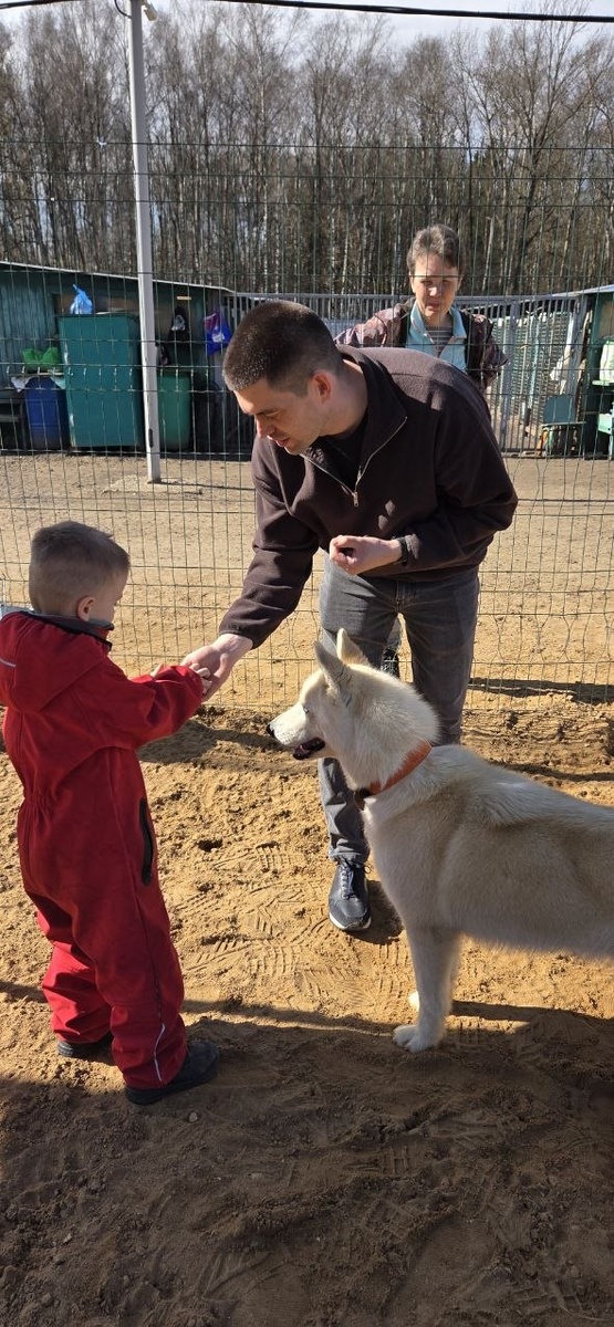 Ну давай, быстрее угощай меня, думает Глобус, при этом сохраняя выдержку)