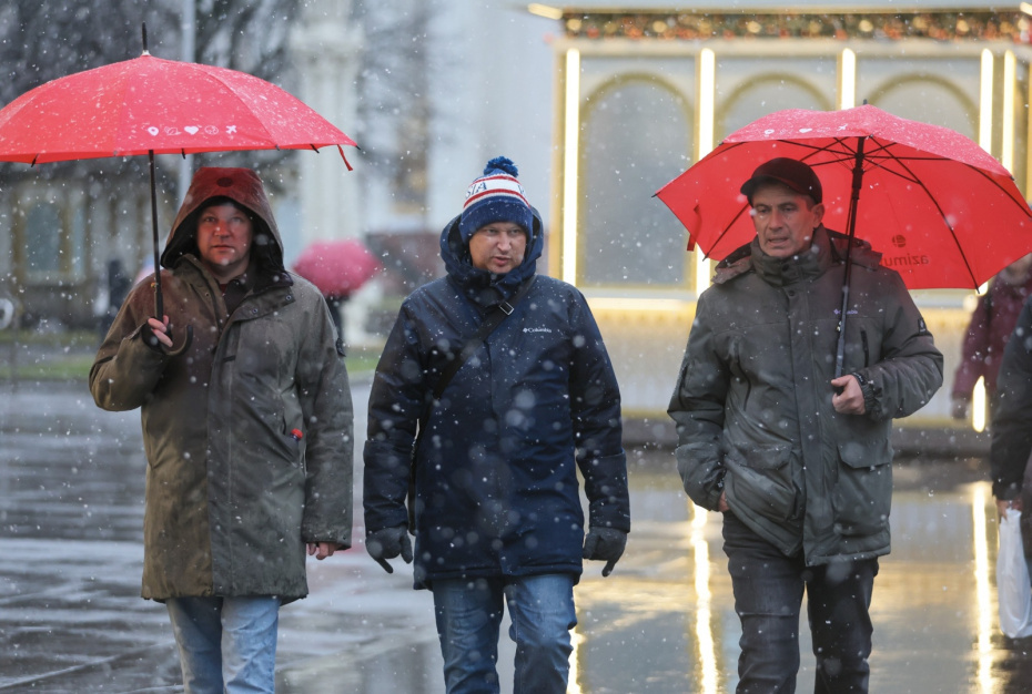    Алексей Белкин/NEWS.ru