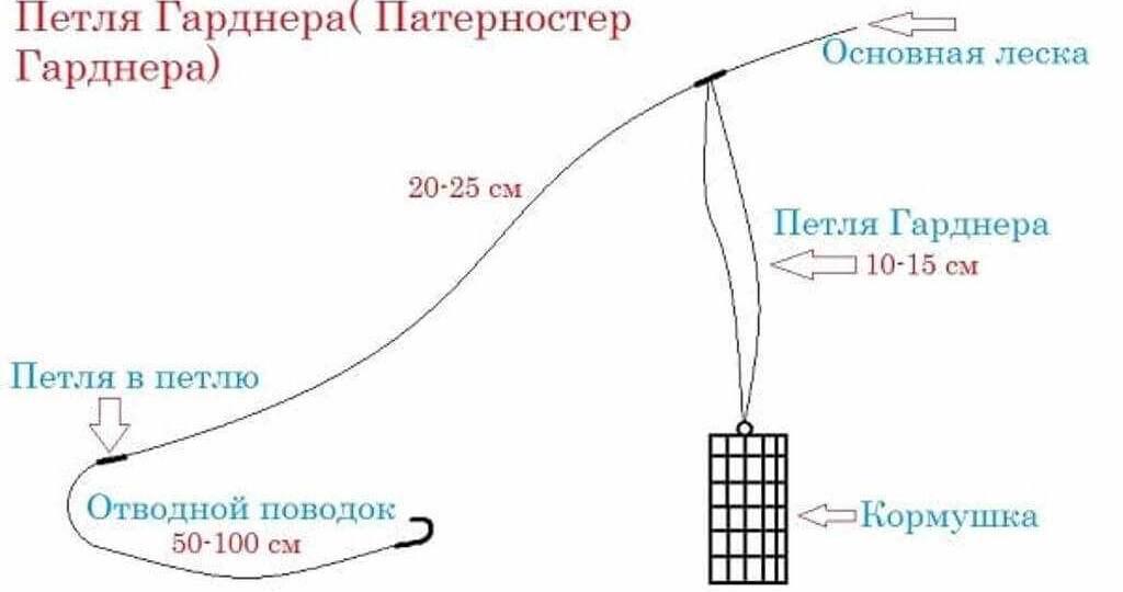 Фидерный монтаж петля Гарднера или патерностер — это одно и то же, или всё-таки нет? Разбираемся.