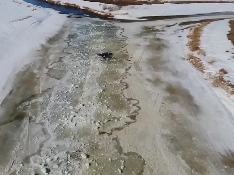    Фото: МЧС НСО