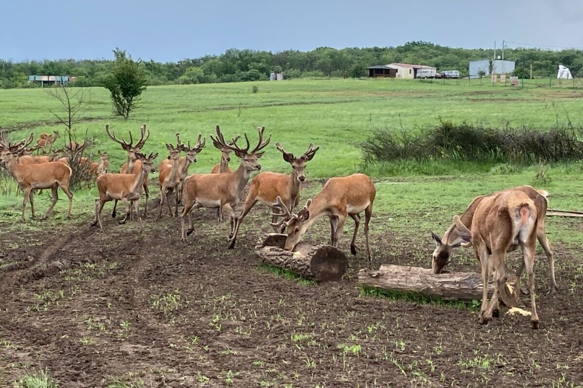    Источник: donland.ru