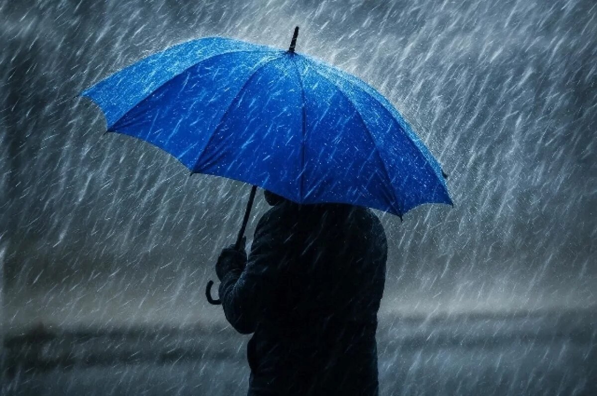    Синоптик Ильин спрогнозировал мокрый снег и заморозки на неделе в Москве