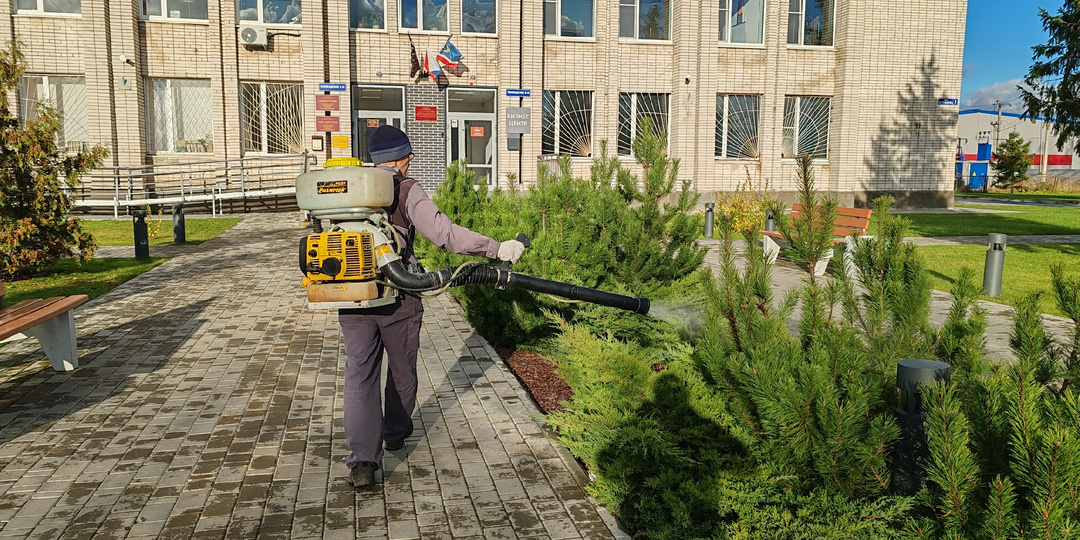 Просыпаемся раньше вредителей: Почему Актара весной — залог спокойного лета