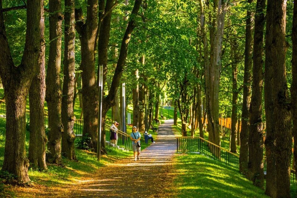     Пресс-служба губернатора Московской области