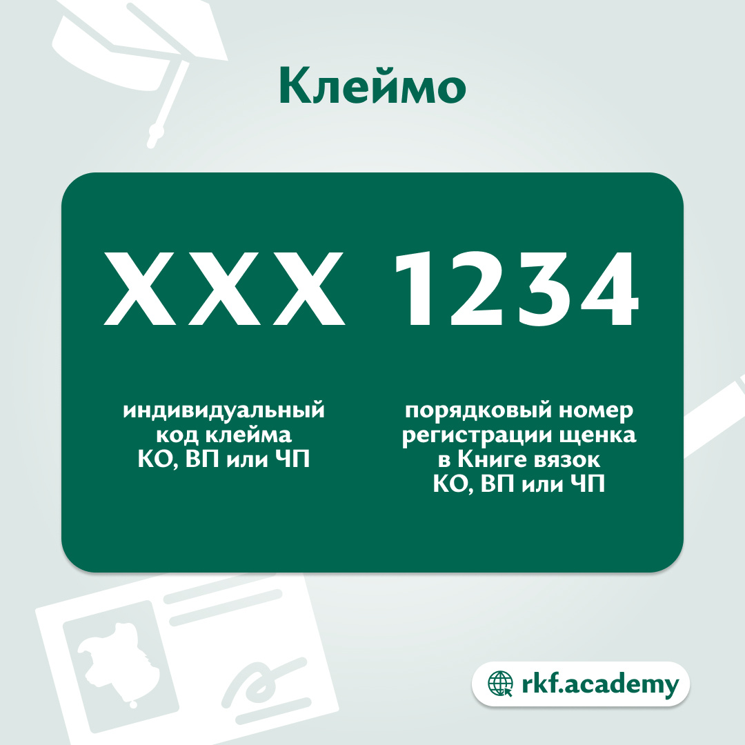 https://vk.com/wall-224392509_7714