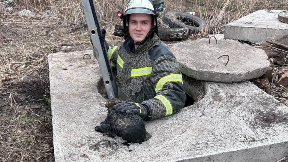 🐶 В Ужуре спасатели вызволили щенка из пятиметрового колодца