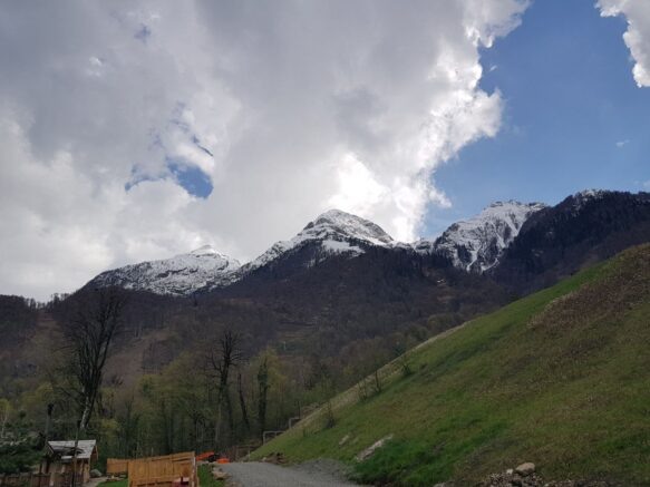    Элина Болдырева