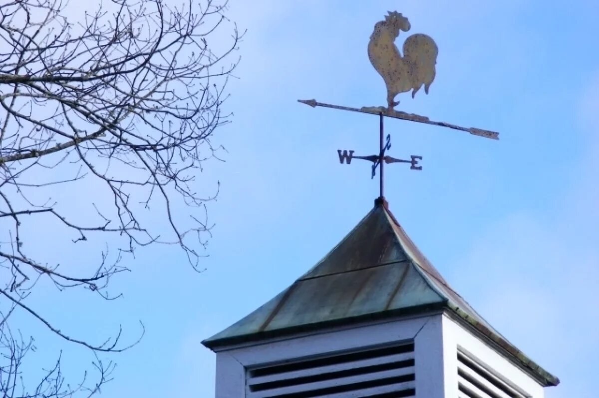    Ветер с порывами до 18 м/с обрушится на Воронежскую область