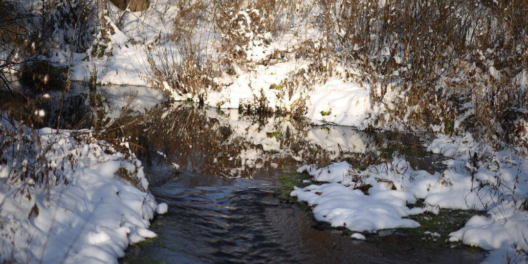 Что нельзя делать 8 апреля, иначе можно лишиться денег и здоровья: народные приметы на день Гавриила Благовеста