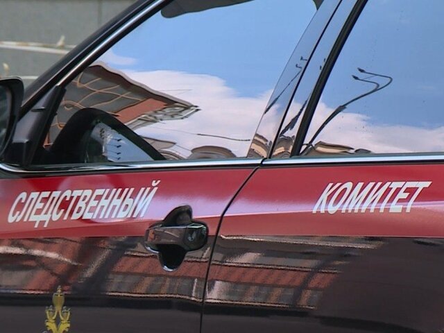    Фото: sledcom.ru