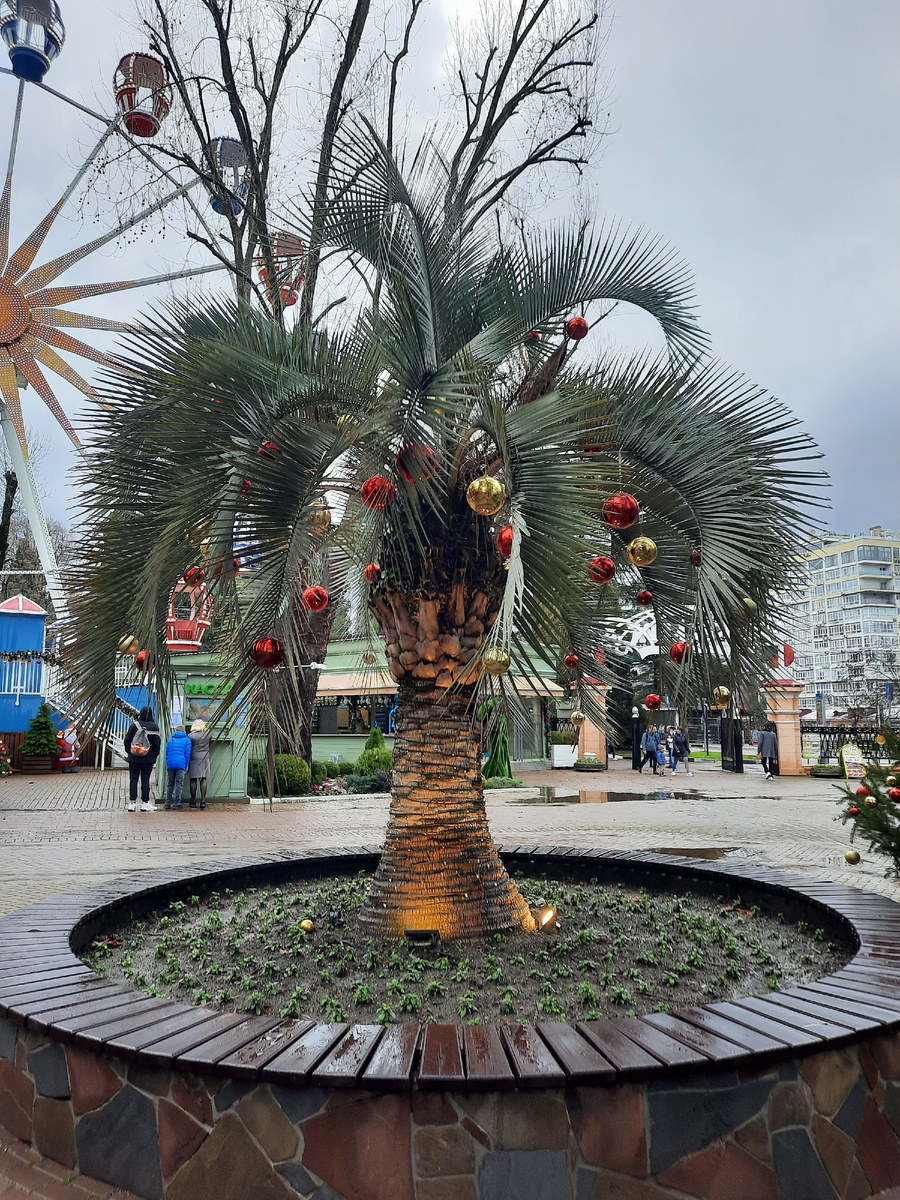 фото из личного архива автора