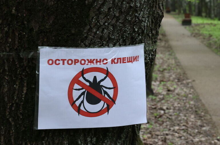   Тимур Ханов/«Парламентская газета»