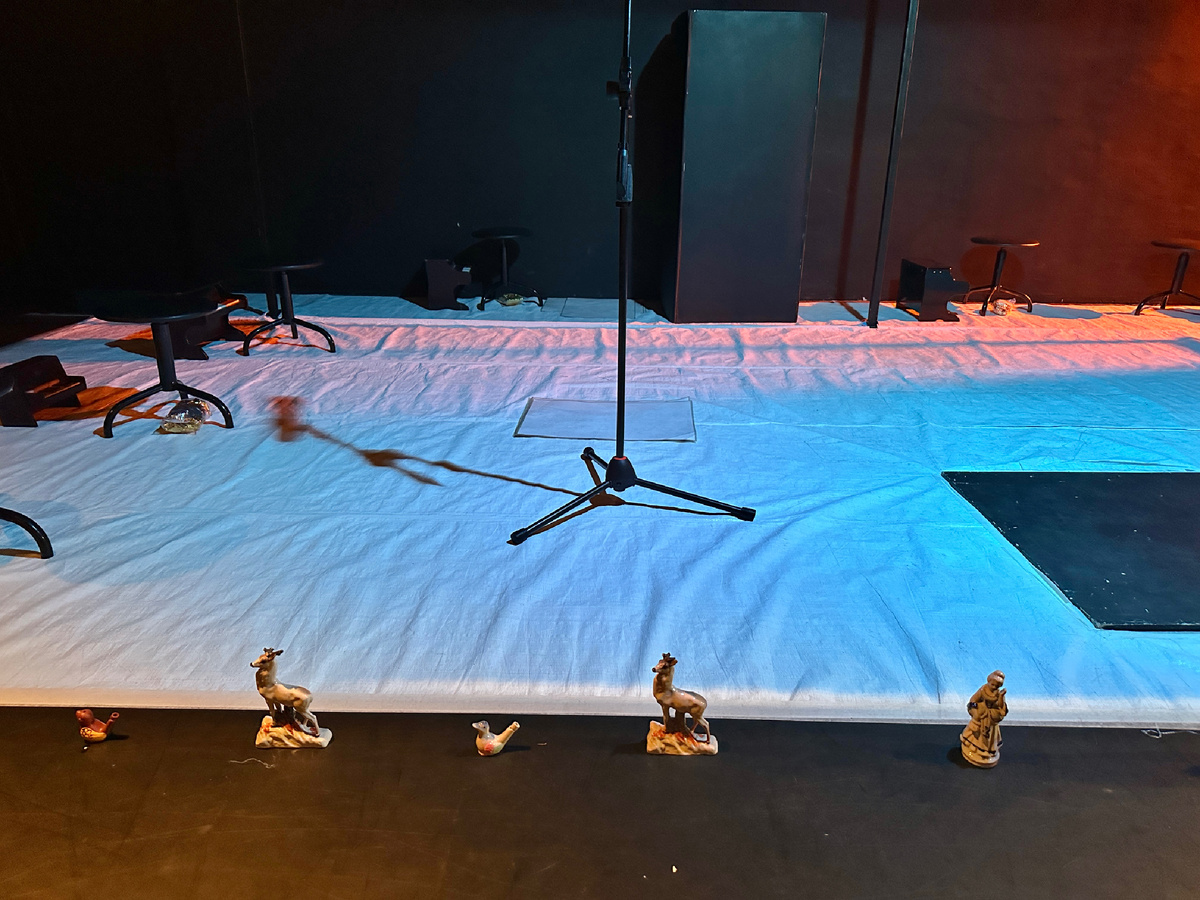 Сцена. Фотография сделана автором канала