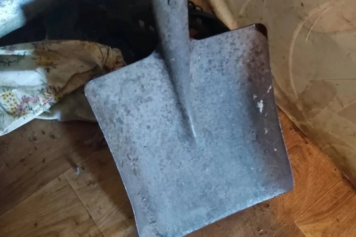    В Елшанке мужчину и женщину до смерти забили штыковой лопатой