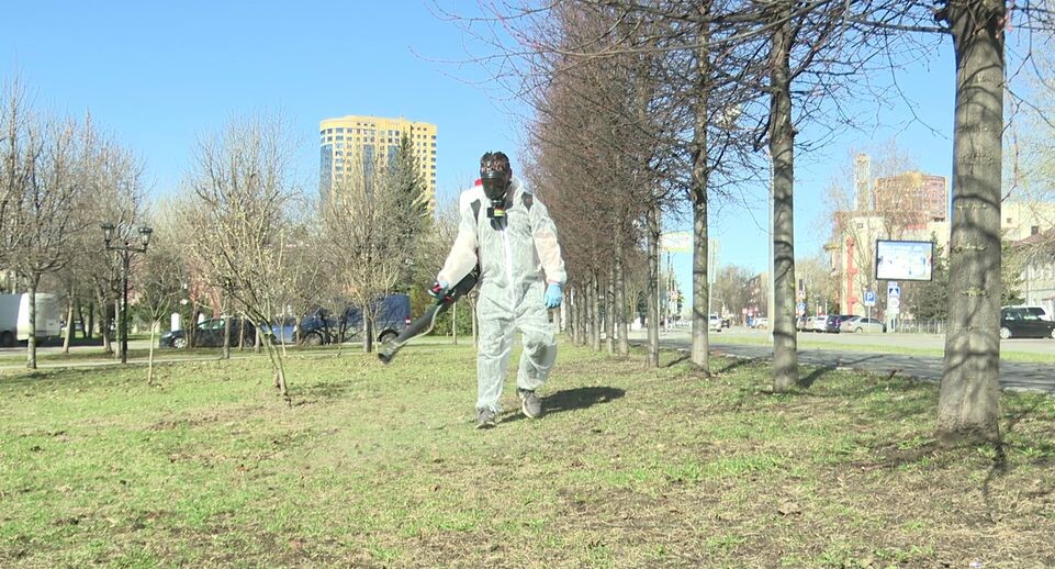    МедиаБанк Подмосковья/Ксения Казакова