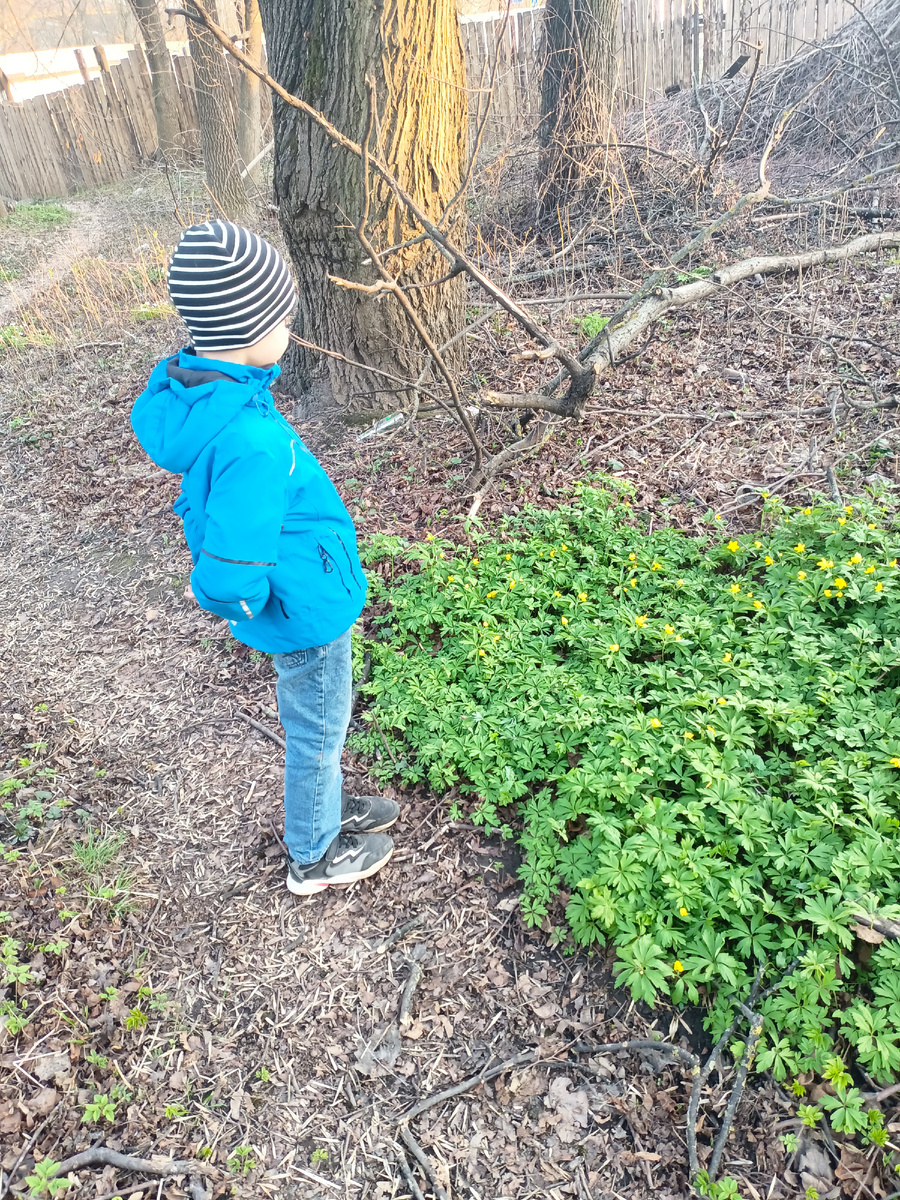 Миша. С ним стараюсь в магазин не ходить.