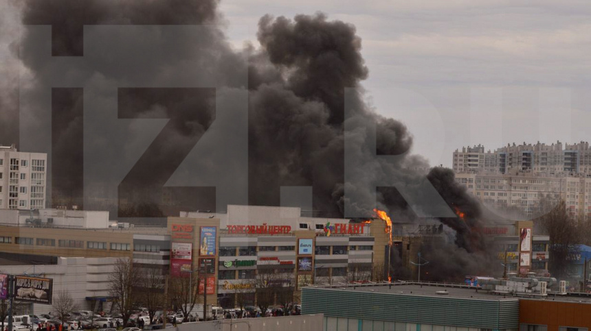    Фото: ИЗВЕСТИЯ; 5-tv.ru