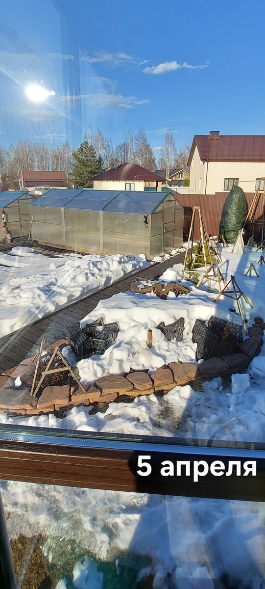 Миксбордер у прудика еще под сугробом.