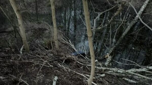    © Прокуратура Москвы