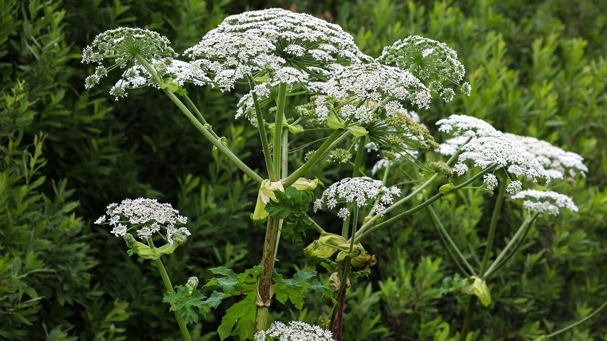    Фото: Elena Mayorova/globallookpress.com