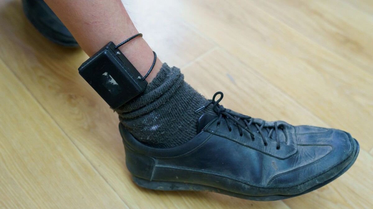    Фото: Gagarin Iurii/Shutterstock/Fotodom