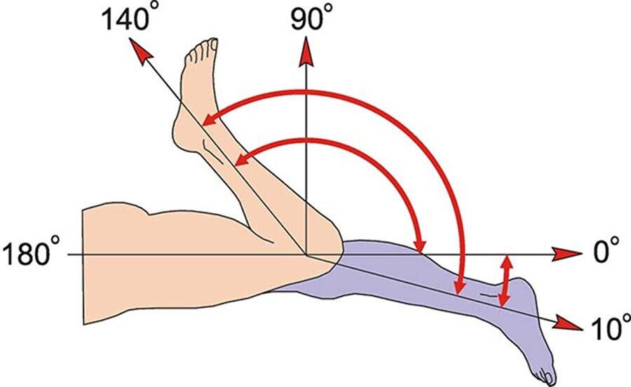 на изображении показаны нормы движения в коленно суставе
