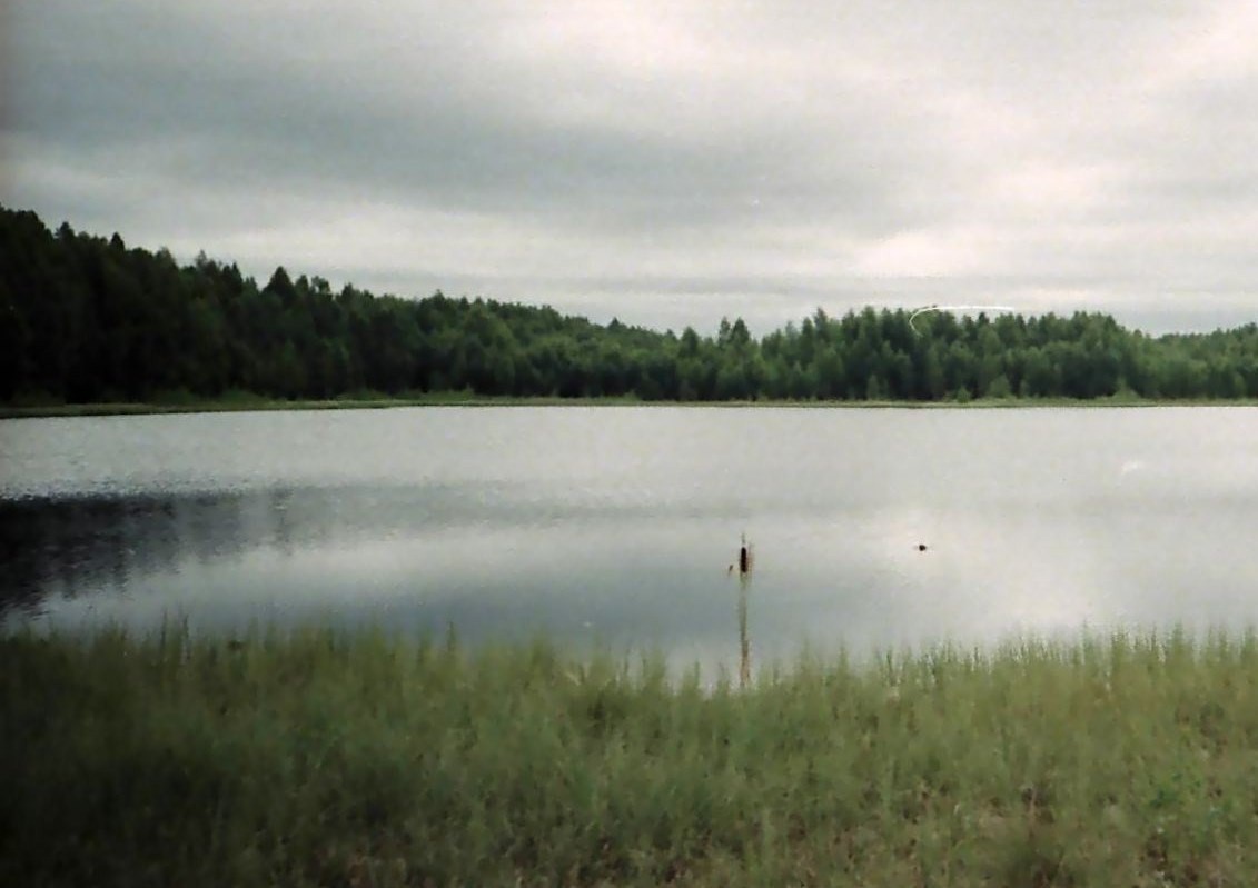 Торфяное Озеро на подходе к пос. Кирпичный