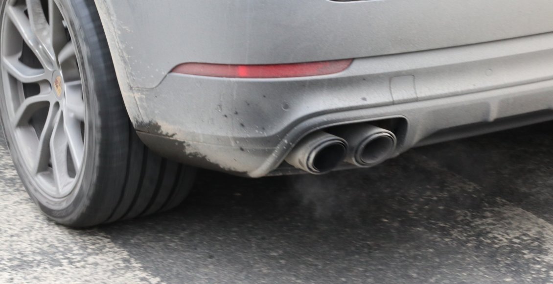    Фото: НИА "Экология"