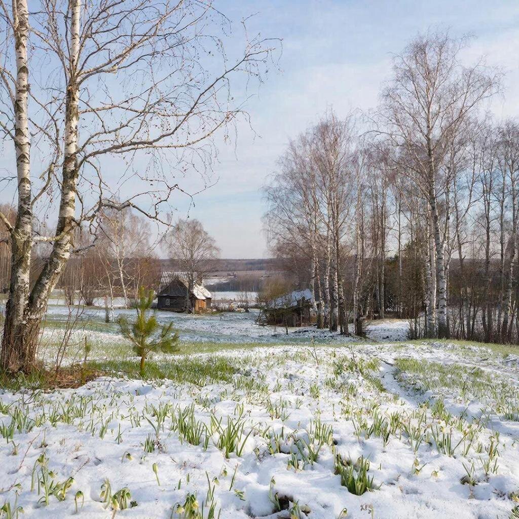    Картинка сгенерирована ИИ Elena Maltseva