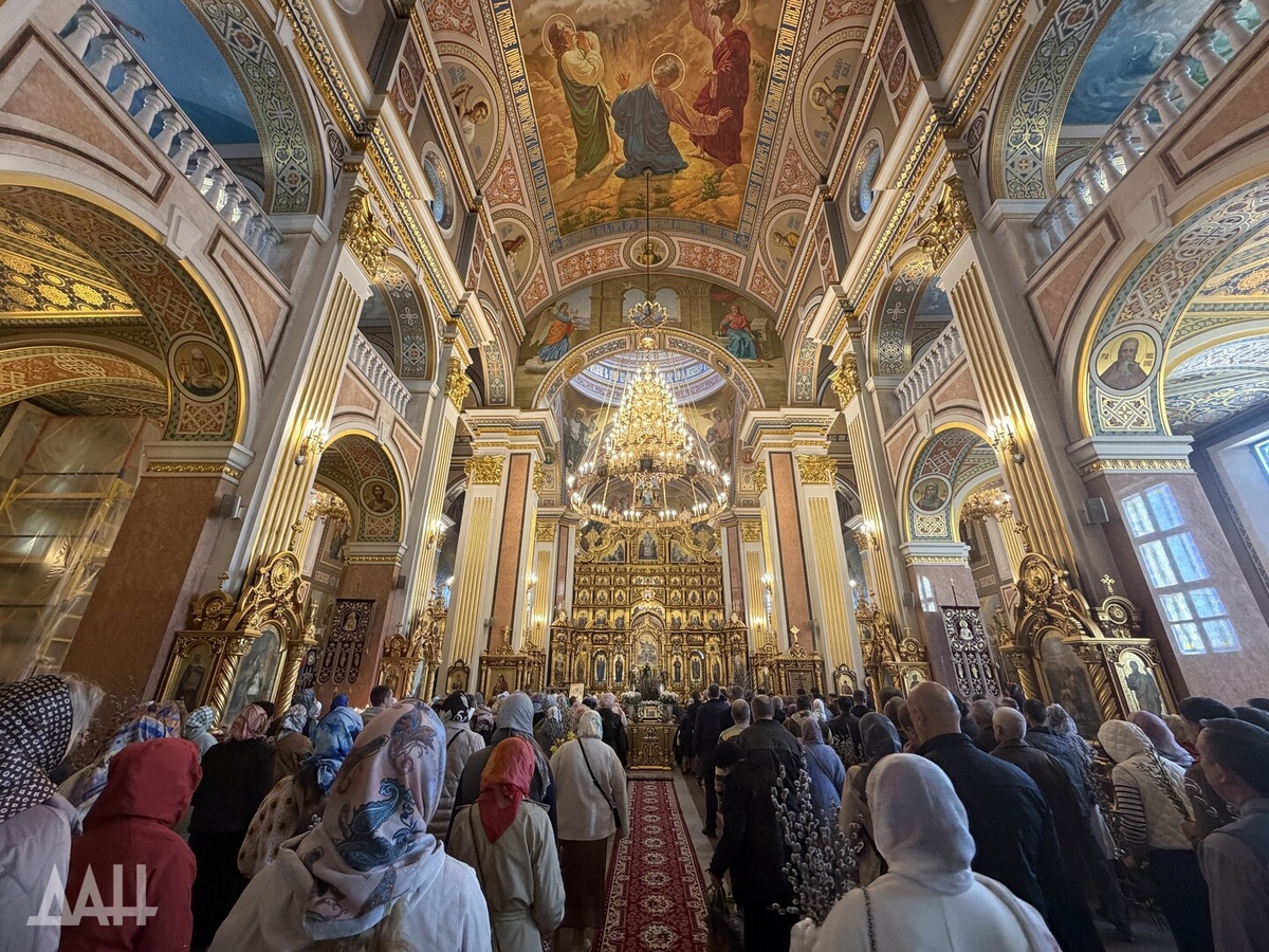    Фото: Донецкое агентство новостей