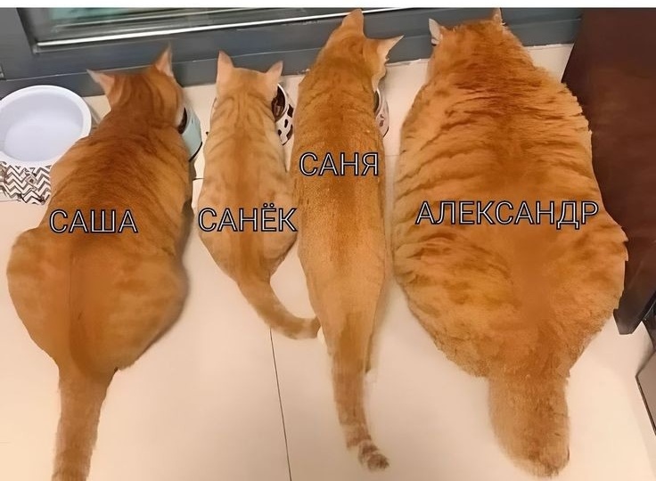 ЕТО МОЙ МУСОР!